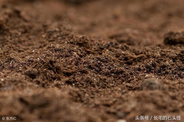 夏天鸡场都是苍蝇，教你一招，半小时苍蝇全消失，适用任何养殖场