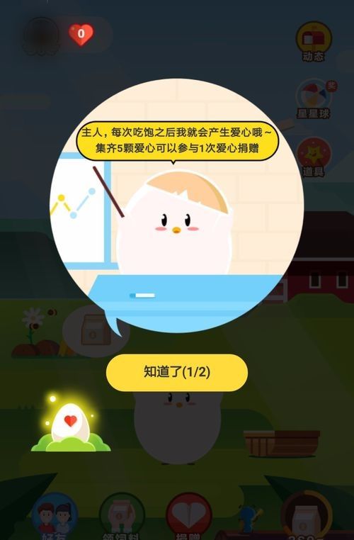 小鸡鹦鹉给水温喂食红蚂蚁热带鱼的庄园图片