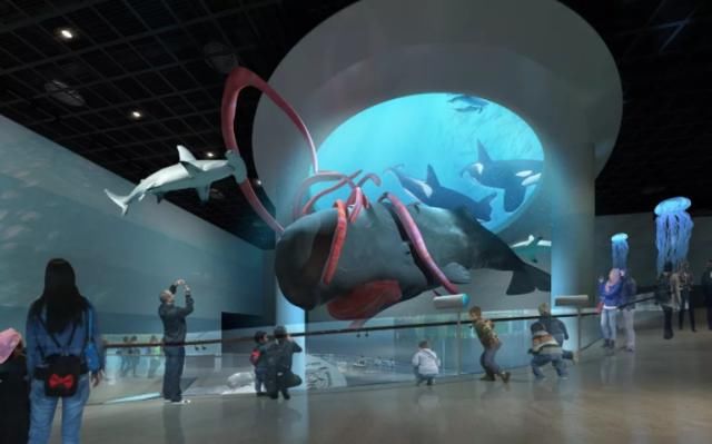 目前大王乌贼模型也在制作当中.