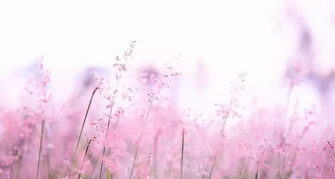 描写劳动节的开头和结尾、名言警句!