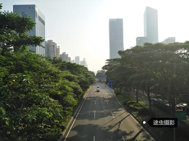 骑行深圳数百里,看看深圳的道路绿化,不服不行