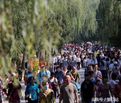 河南少林寺被坑有点蒙，一鸡两吃绝对新骗术，后来者一定提高警惕