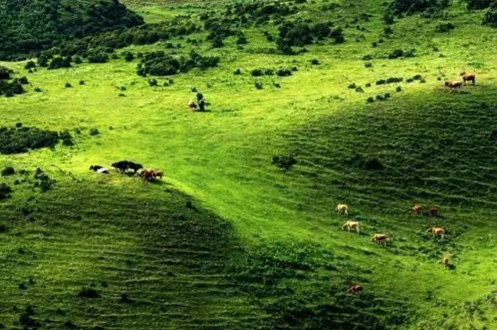 中国国内藏着不少旅游之地:四川九寨沟,贵州六
