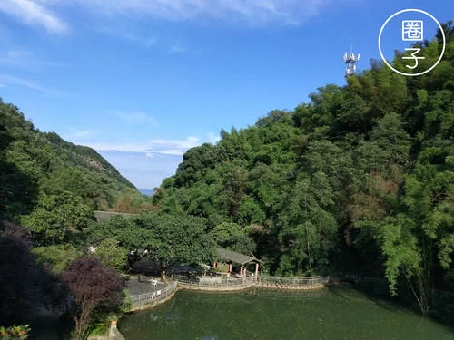 登录查看大图