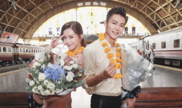 2019年收视率排名