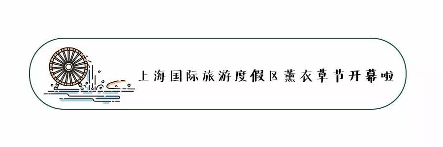 2018年上海大爆发，20个好消息来袭！上海人的好日子要来了！