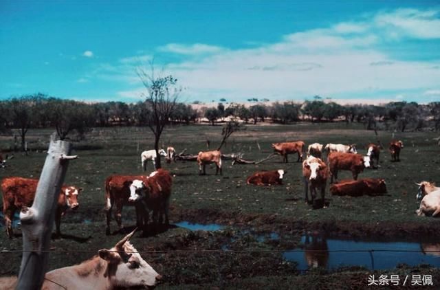 你根本想不到，车里加一台冰箱可以这么方便