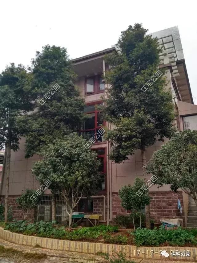 兄弟齐心农村建双拼别墅,这么房子和环境,城里人真要羡慕坏了!