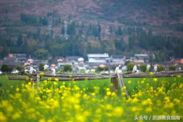 旅游推荐丨云南最美的地方，不是丽江，不是大理，而是这里……