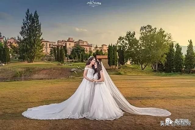 女同情侣大婚,婚纱照美若天仙,礼金超七位数!