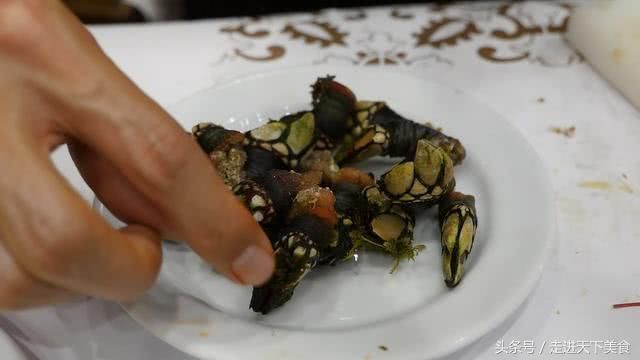 去葡萄牙旅行,吃了2只龙虾一盘虾仁10只生蚝,拿到账单时懵了