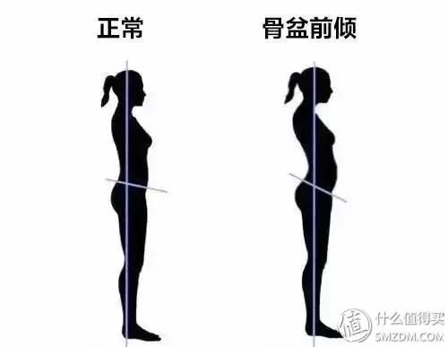 真假翘臀检测!真人兽教程的美臀计划了解一下?