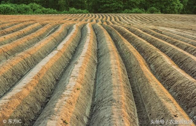 老外感叹：中国老祖宗这样种地，比四大发明还牛！