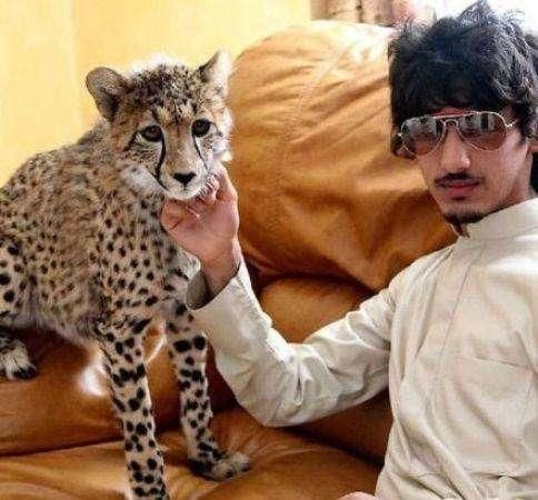 英国占领沙特的时候,怎么没发现石油?现在知道