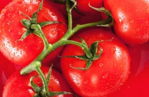 每天吃个番茄 能预防便秘 对心脏好
