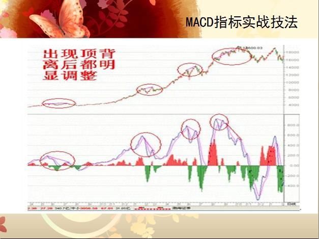 中国股市最牛的人：只学会了macd指标就能赚钱，你学会了吗？