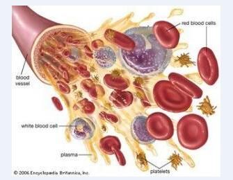 输血虽是血液病病人救命之道，但经常输血要注意代谢负担等问题_【快资讯】