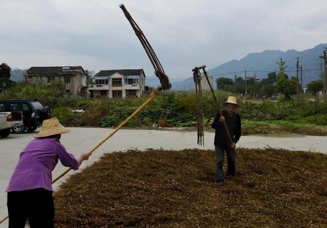 农村即将消失的老农具，你能认出几个？全用过的，报上年龄！