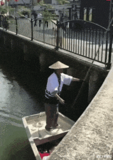 很疑惑为什么这个是波浪线而不是直线？哈哈专业评论就是不一般！