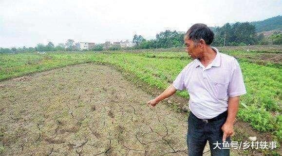 农民注意：今年起不要再对农田做这4件事，否则村干部将带头处罚