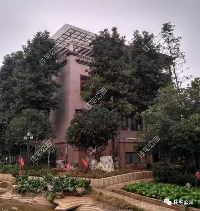 兄弟齐心农村建双拼别墅,这么房子和环境,城里人真要羡慕坏了!