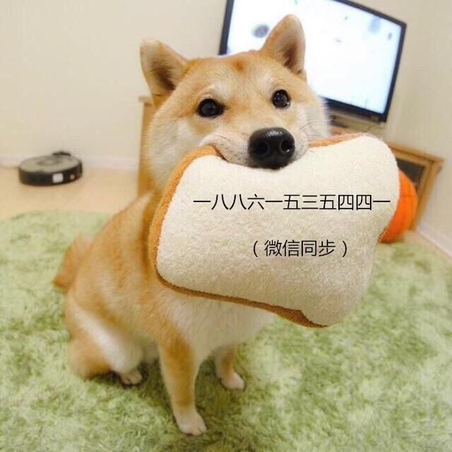 江苏五年制专转本:五年制专科在校生进击全日