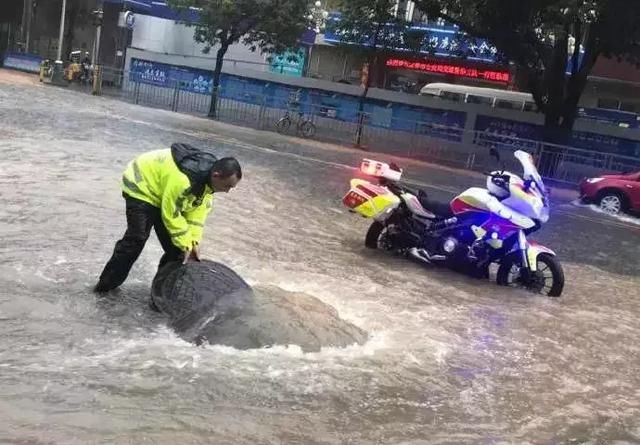 台风暴雨袭来！看看深圳最容易被积水的地方