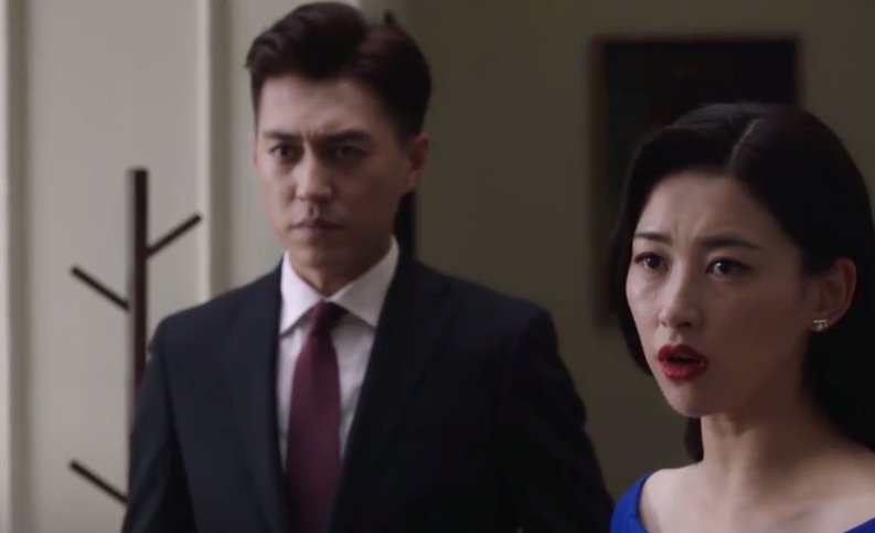 精英律师靳东感情线