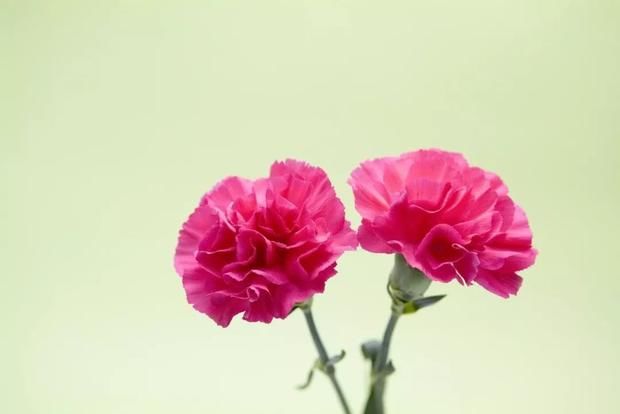 余秋雨的话,感动到你落下泪