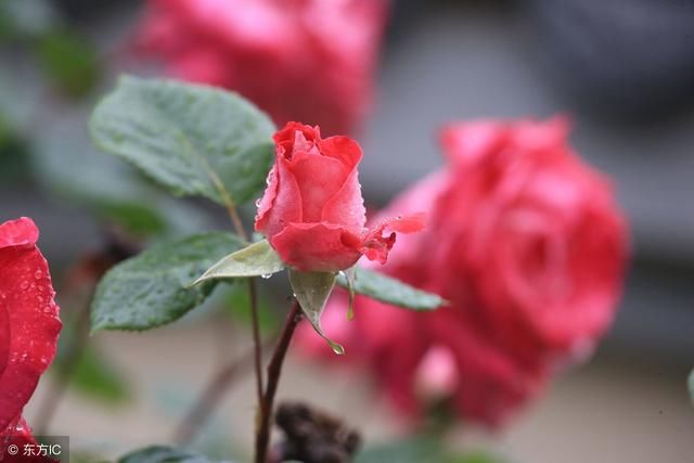 过日子，什么最重要？