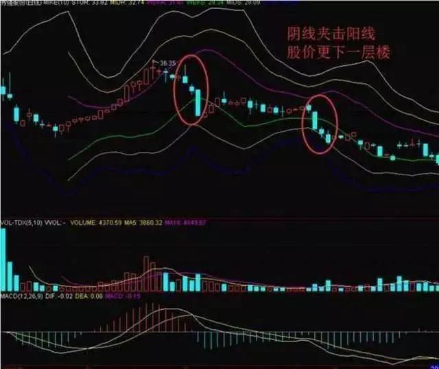 中国股市：明明知道是坑，为什么还往里跳？