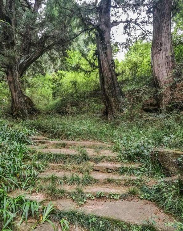 广元旅行，穿越古今历史，行走剑门蜀道，从汉阳铺到抄手铺！