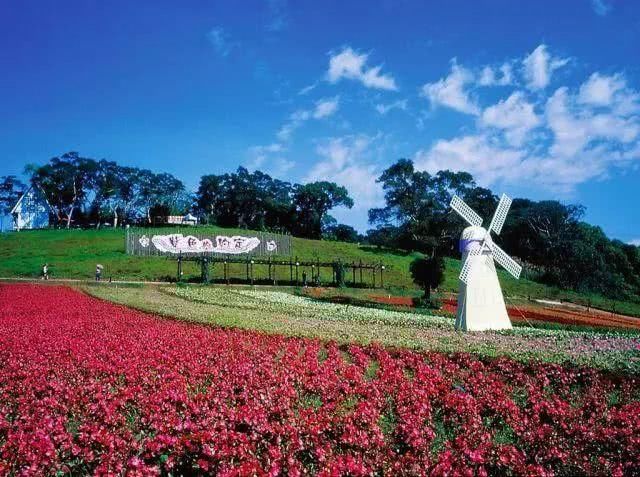 去全世界最美的花海，做最浪漫的事