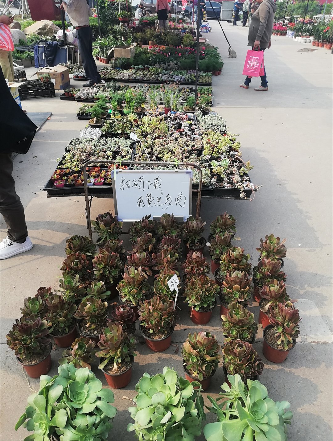 五一小长假带上父母去农家乐,赏风景品美食,这样的旅行才够完整