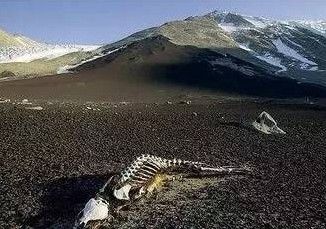 昆仑山死亡谷探秘,寻找地狱之门下的巨大野兽