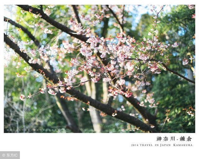 黑龙江省(黑),省会哈尔滨,辖12个地级市、1个地区行署。中国东北部,是中国位置最北省份,北、东部与俄罗斯隔江相望,西部与内蒙古自治区相邻,南部与吉林省接壤。地貌特征为五山一水一草三分田。有众多江河、湖泊、还是重要的沿边开放口岸。 哈尔滨,黑A、黑L,别称冰城,省会,中国省辖市中陆地管辖面积最大、户籍人口居第三位的特大城市,国家重要的制造业基地,被誉为欧亚大陆桥的明珠,中国历史文化名城、热点旅游城市和国际冰雪文化名城。著名景点:太阳岛、中央大街、亚布力滑雪场、冰雪大世界、中华巴洛克、索菲亚