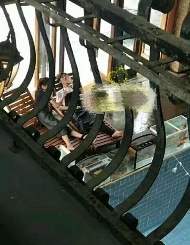 哎呀嘛,鹿晗关晓彤被爆早就同居了?!_【今日爆