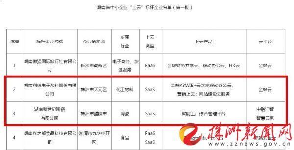 湖南省首批中小企业上云标杆企业名单公布 株