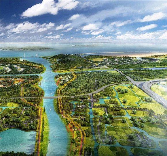 上海将建东部首个滨海生态型郊野公园 最新效