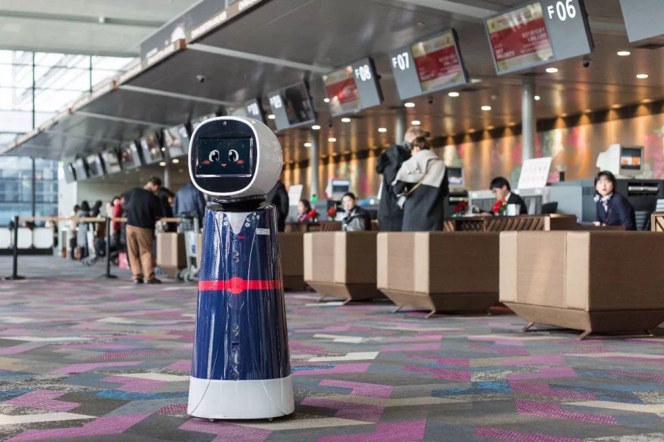 去冲顶大会准是第一的它,可是全东航值机区最