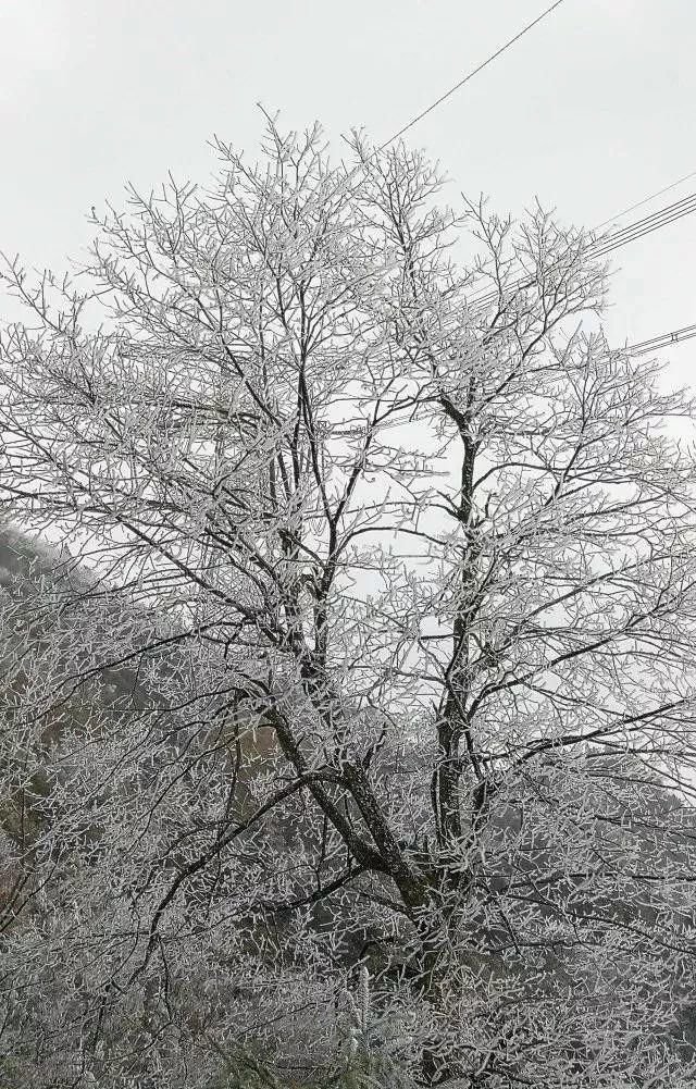 这是贵州最全的冰雪景观！美得有点猝不及防……