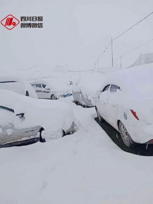 烟台、辽宁冰雹，四川阿坝降雪、降雨…今年极端天气频发，农户受