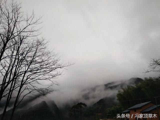 冬者岁之余,可读书写字