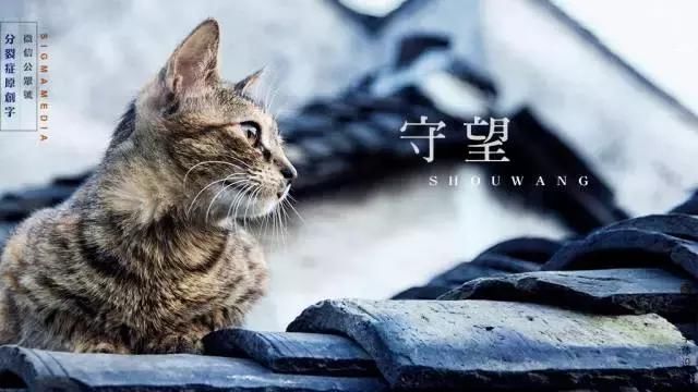 论排版设计,中文字体排版设计是厉害的设计塔景观图片