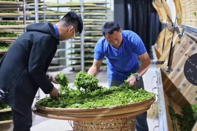 富士康高管辞职卖茶叶,只因他看透了2点