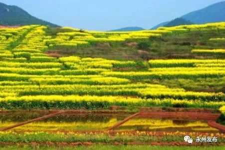 养眼、新鲜！高清组图带您亲临永州旅游两大盛事~