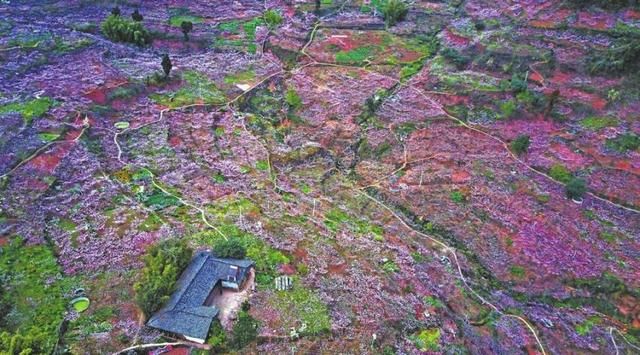 龙泉山脉第一高峰在哪里