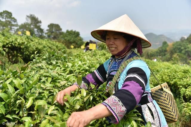 传说中的中国最喜欢喝茶的十大城市，你去过几个？