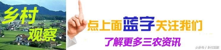 2018土地确权后，如果老人去世，子女可以继承土地吗?