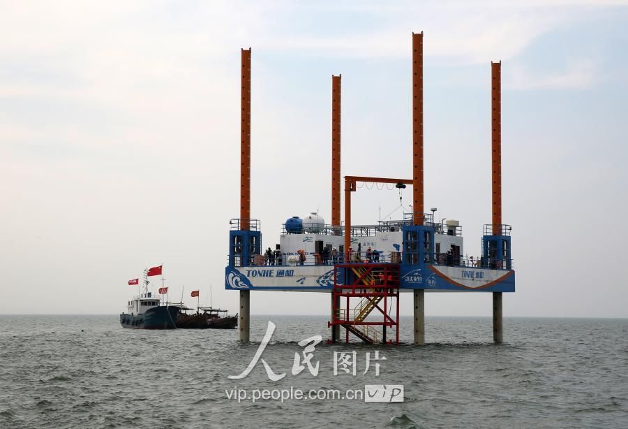 山东东营:海洋牧场平台助力特色休闲渔业